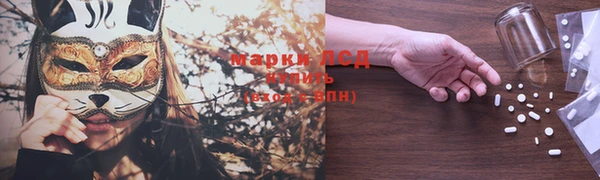 СК Алексин