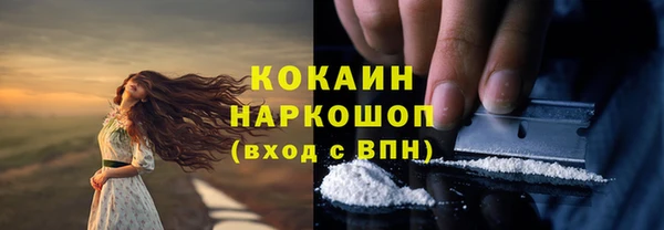 СК Алексин