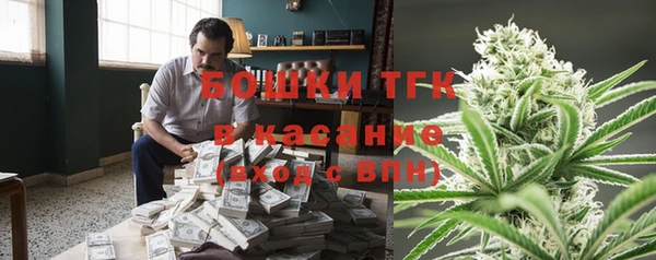 СК Алексин