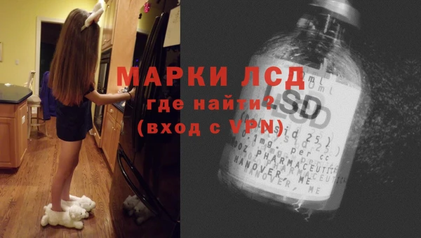 СК Алексин