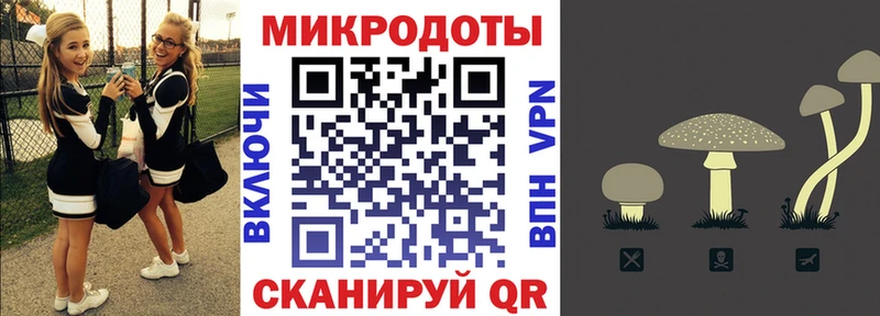 Псилоцибиновые грибы мицелий хочу наркоту Биробиджан