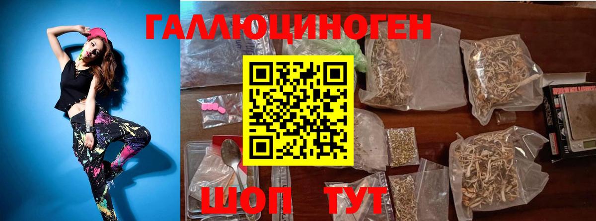 Псилоцибиновые грибы GOLDEN TEACHER  Вход с VPN  Биробиджан 