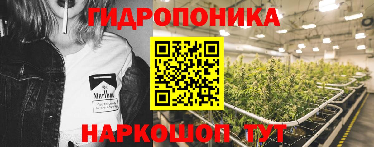 Марихуана марихуана  Канабис Ganja  Бошки марихуана MAZAR  Биробиджан  Вход с VPN 
